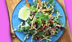 Asian Style Peanut and Sprout Salad